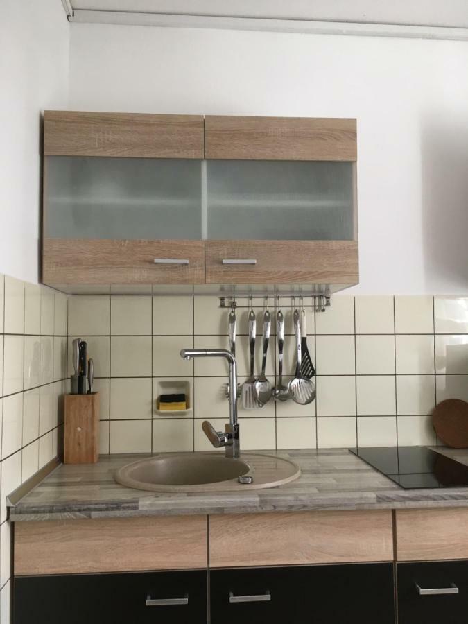 Apartment Schwarzwald ラール エクステリア 写真