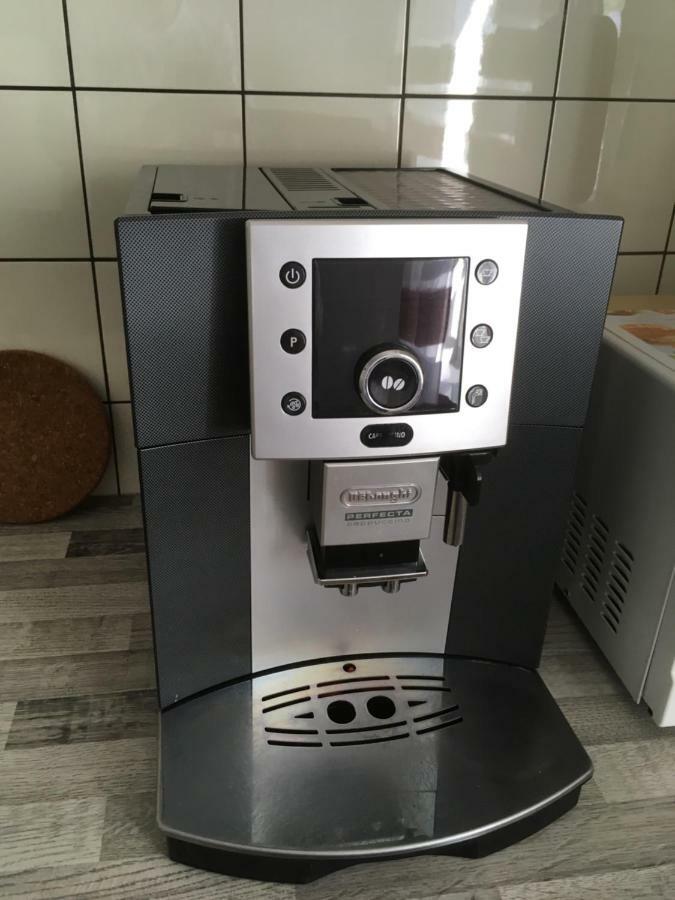 Apartment Schwarzwald ラール エクステリア 写真